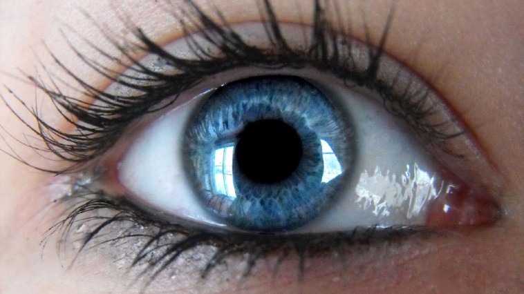 Besoin d' un ophtalmo?